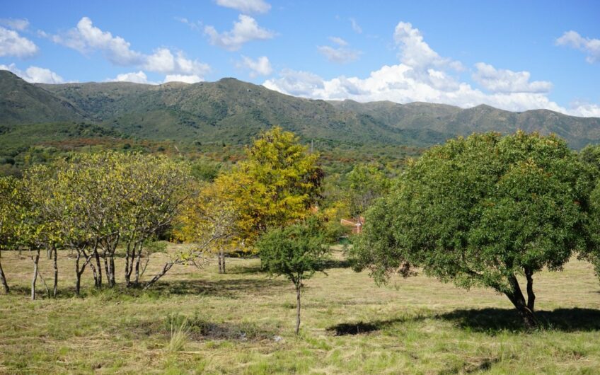Terreno en Venta Fincas del Valle – Casa Grande
