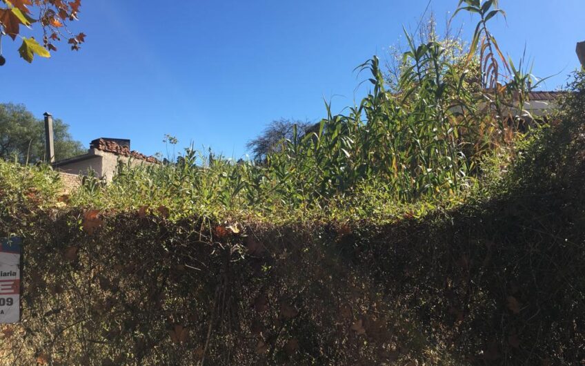 Terreno a la Venta en La Falda Barrio Parque Jardín