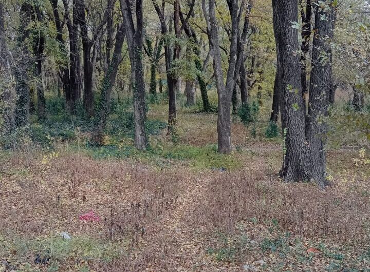 Terreno en Venta en Villa Giardino