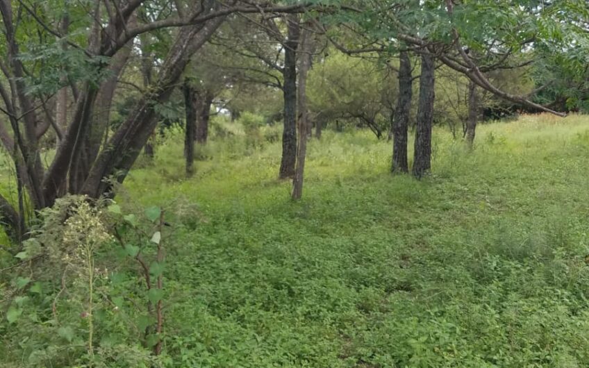 Terrenos en Venta en Huerta Grande