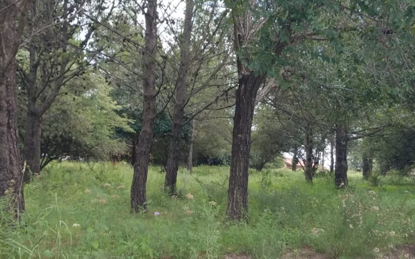 Terrenos en Venta en Huerta Grande
