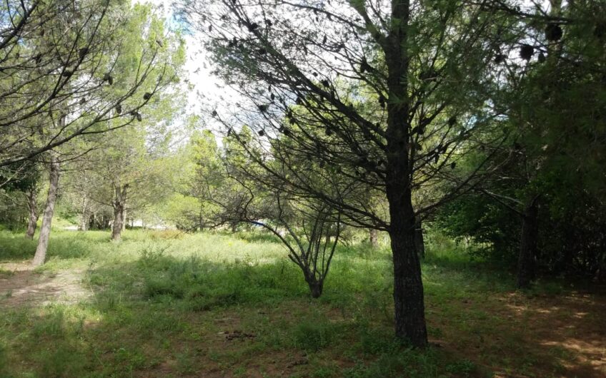 Terrenos en Venta en Huerta Grande