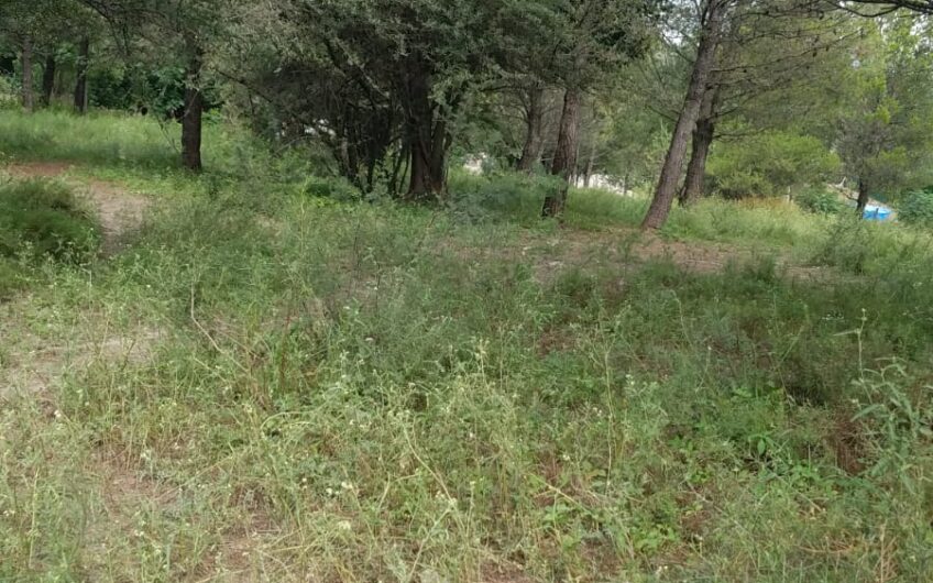 Terrenos en Venta en Huerta Grande