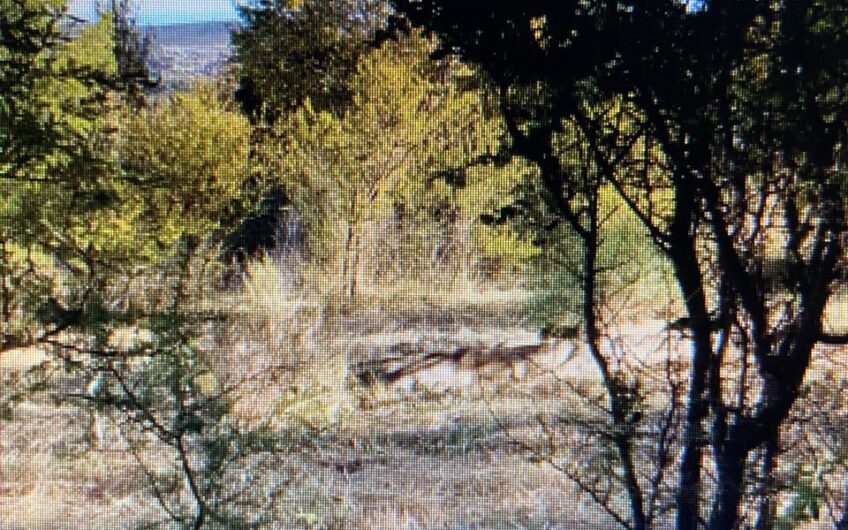 Terreno en Venta en Huerta Grande