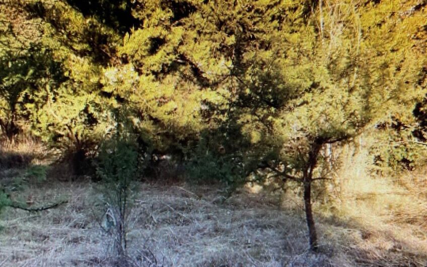 Terreno en Venta en Huerta Grande