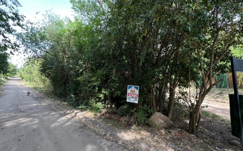 Terreno en Venta en Casa Grande