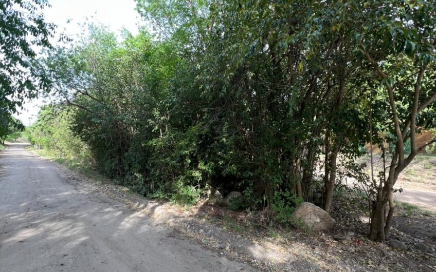 Terreno en Venta en Casa Grande
