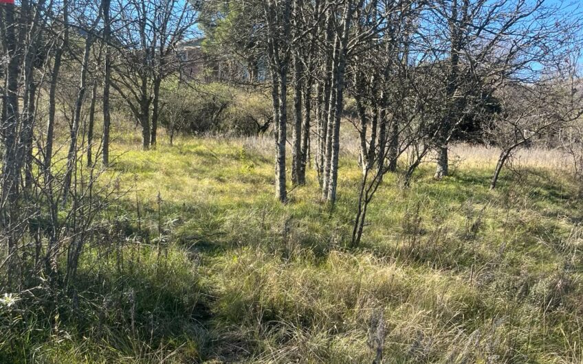 Terrenos en Venta en Villa Giardino