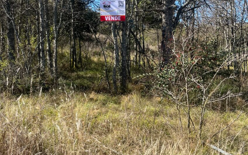 Terrenos en Venta en Villa Giardino