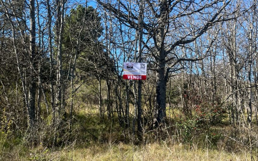 Terrenos en Venta en Villa Giardino