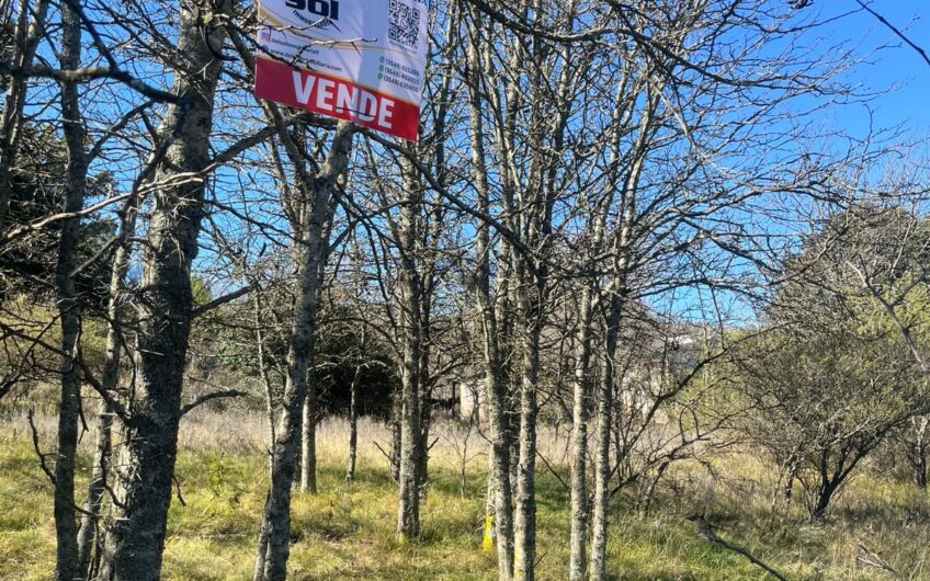 Terrenos en Venta en Villa Giardino